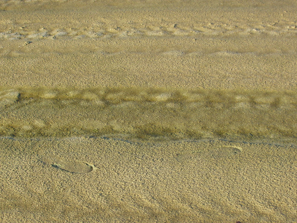 HOW TO GET OIL STAINS OUT OF CARPET. HOW TO GET OIL ALL CAR CARPET