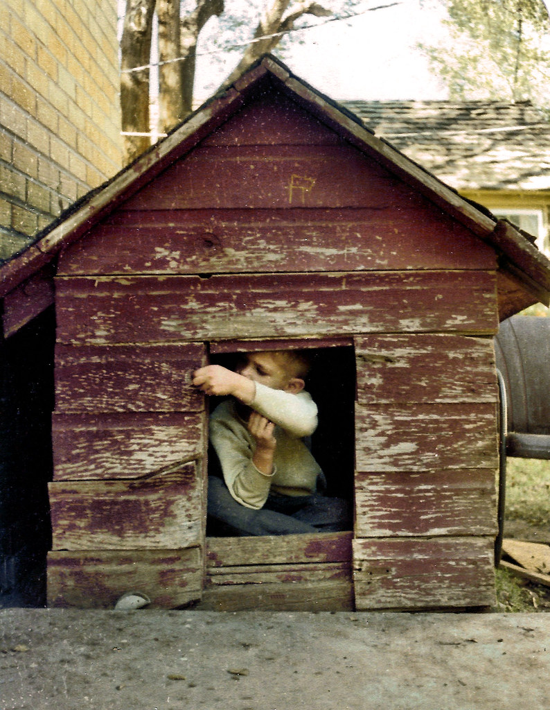 DOG HOUSE HEATER HOMEMADE DOG HOUSE 60W TUBULAR HEATER