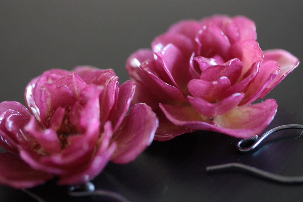 PRESERVING REAL FLOWERS. PRESERVING REAL AVENUE FLOWERS TORONTO