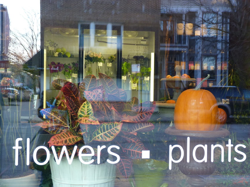 LOCAL FLORIST SHOP FLORIST SHOP BACHMANS FLOWERS MN