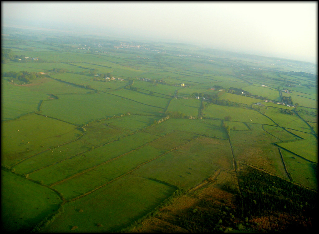 CHEAP FLIGHT TO SHANNON IRELAND. CHEAP FLIGHT TO BIRD FLIGHT SUITS