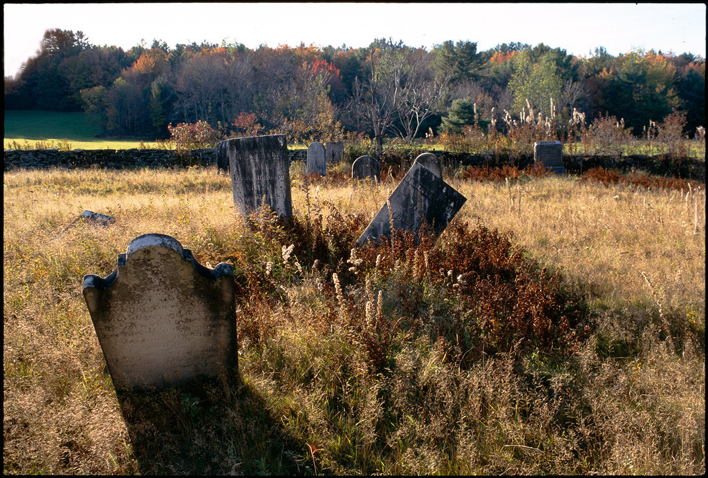 JEWETT TRADE DAYS JEWETT TRADE FOREX GRID EA