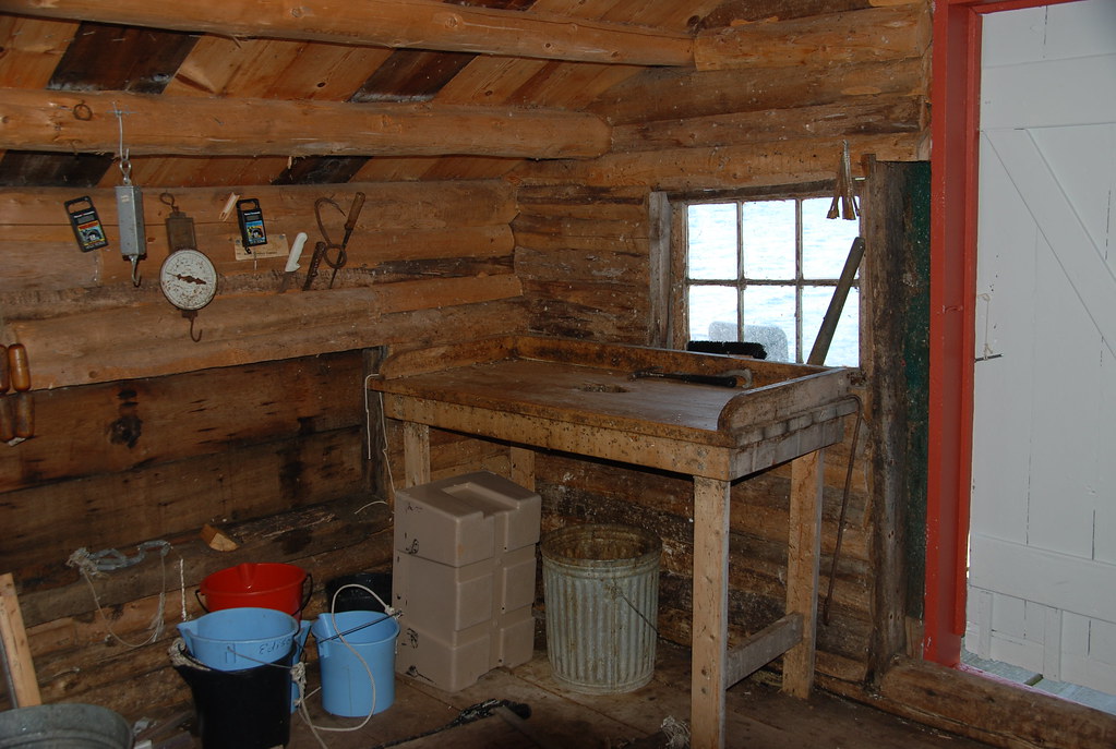 CARPET CLEANING AND STRETCHING