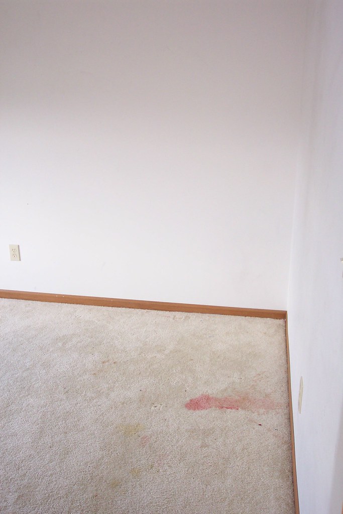 CARPET AND RUG INSTITUTE GREEN LABEL PLUS