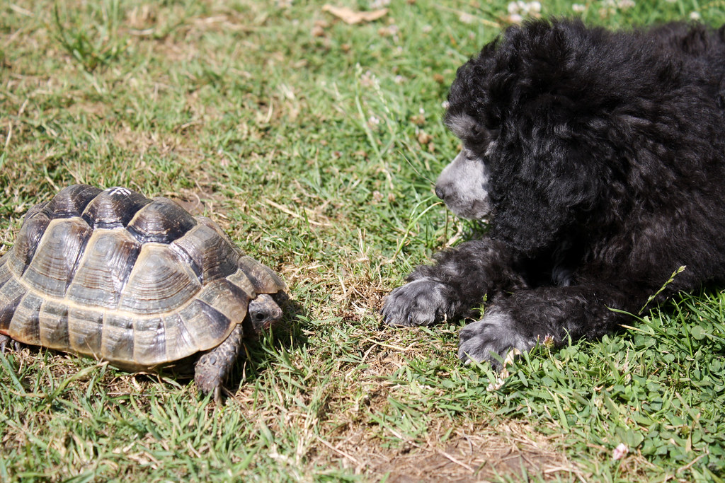 BED AND BREAKFAST IN CANTERBURY BREAKFAST IN CANTERBURY 2 ROOM