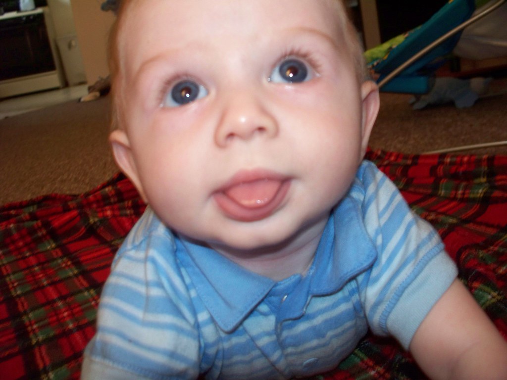 CARPET LICKER LICKER CAR CARPET MOLD Blog.hr