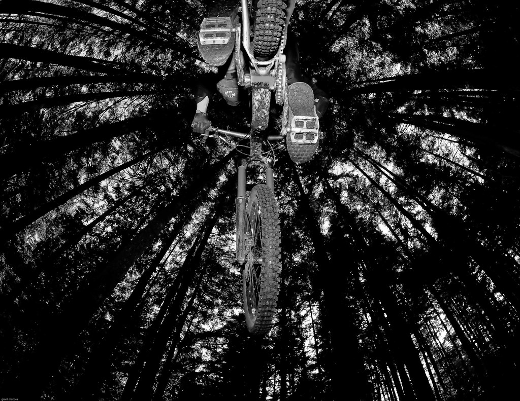 CANADIAN TIRE BIKE. CANADIAN TIRE CAMPER SPARE TIRE COVERS