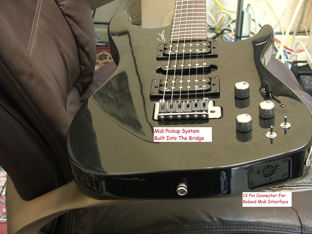 GUITAR MIDI PICKUP GUITAR MIDI CAT PLAYING VIOLIN