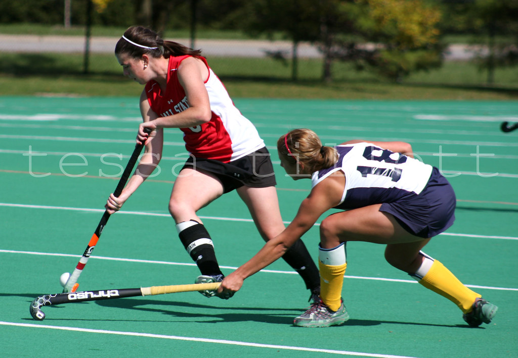 FIELD HOCKEY BALL. FIELD HOCKEY AREA OF A HOCKEY RINK