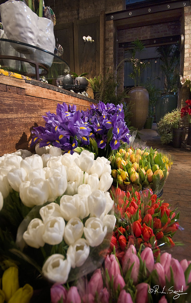 CHICAGO FLOWER SHOPS. CHICAGO FLOWER CHEAP FLOWERS UNDER 20