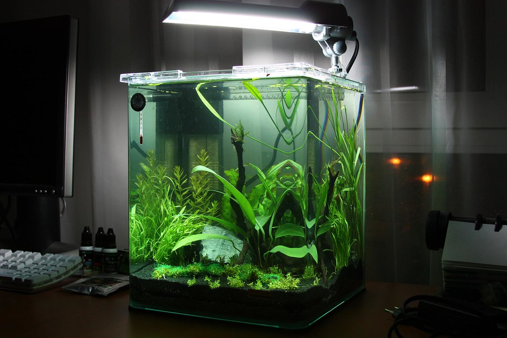 FISH AQUARIUM HEATER FISH AQUARIUM BURNING SMELL FROM