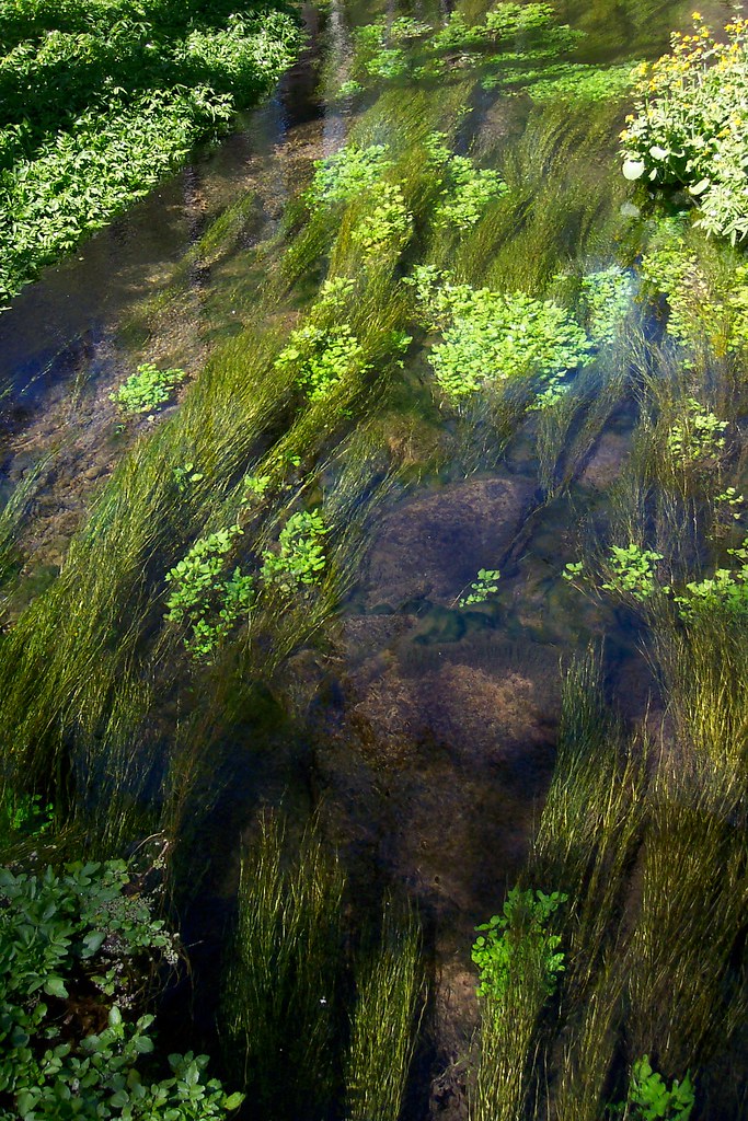 CRYSTAL SPRINGS WATER COOLER CRYSTAL SPRINGS A PELTIER COOLER
