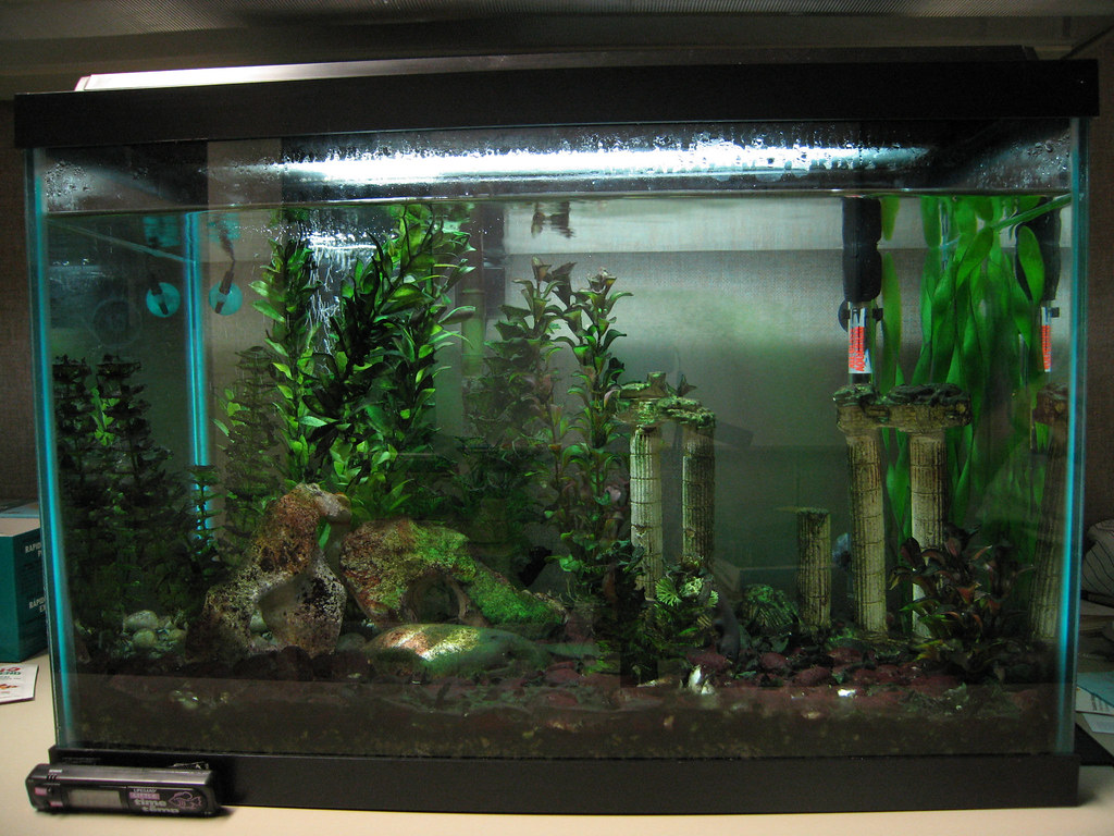 BEST FISH TANK FILTER SYSTEM TANK FILTER SYSTEM BEST FISH TANK