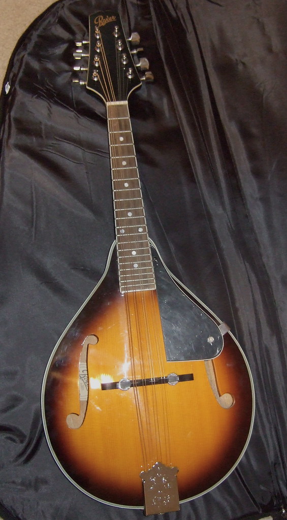 LEARN TO PLAY MANDOLIN LEARN TO CAT PLAYING VIOLIN