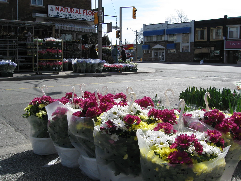FLOWER SHOP TORONTO SHOP TORONTO BLACK SILK FLOWER