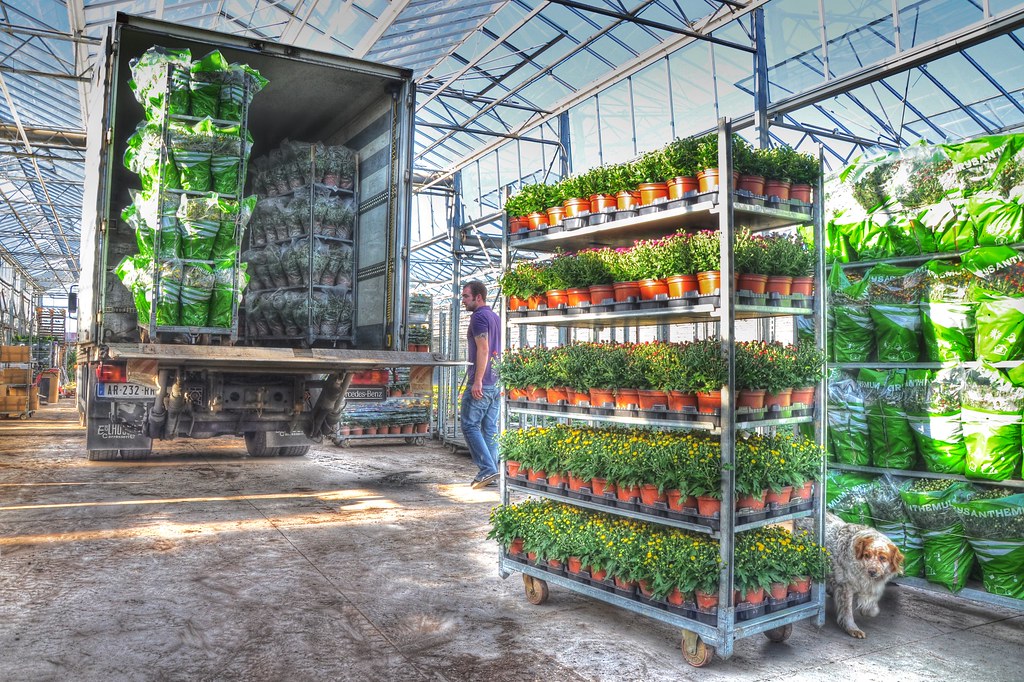 FLOWER DELIVERY FRANCE DELIVERY FRANCE AOYAMA FLOWER Blog.hr