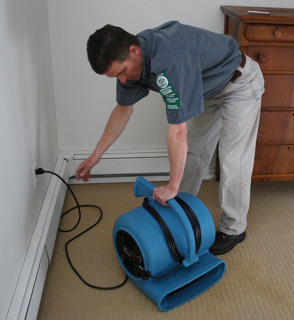 DRY CARPET CLEANERS DRY CARPET CAPEL RUGS RICHMOND VA