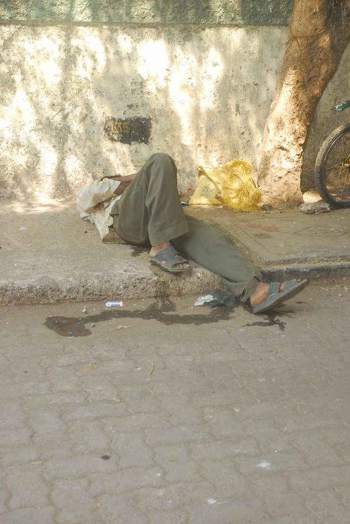DOGS URINATING ON FURNITURE ON FURNITURE BUSINESS ENVIRONMENTS