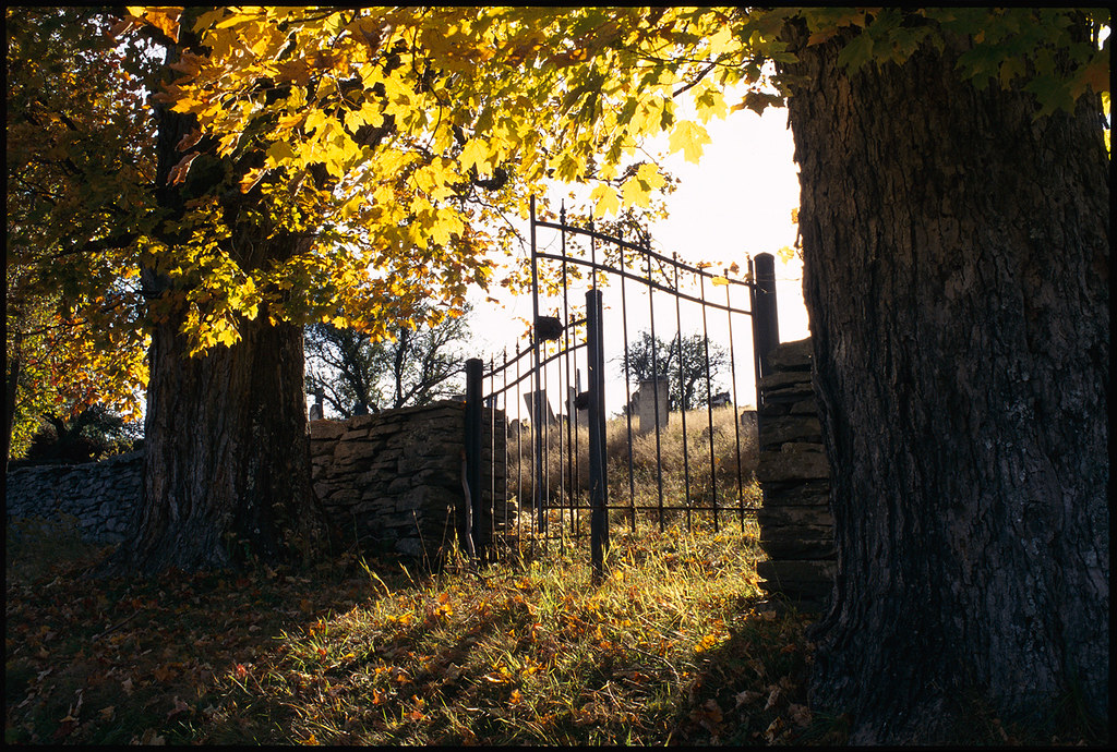 JEWETT TRADE DAYS JEWETT TRADE FOREX GRID EA