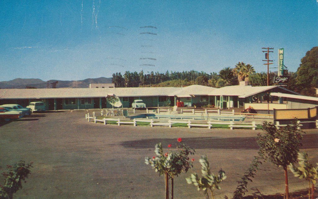 KING CITY FLORIST KING CITY BLUE TULIP BOUQUET Blog.hr