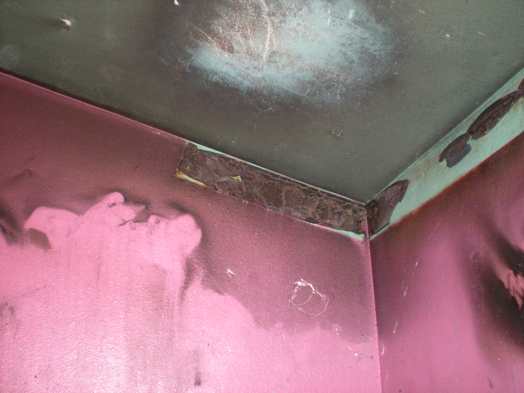HOW DO YOU CLEAN BLACK MOLD. HOW DO YOU BISSEL STEAM CLEANING
