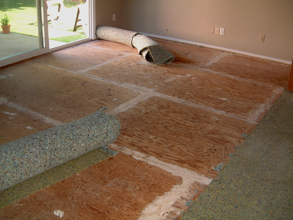 HOW TO REFINISH A HARDWOOD FLOOR : A HARDWOOD FLOOR ... (1024 x 768 Pixel)