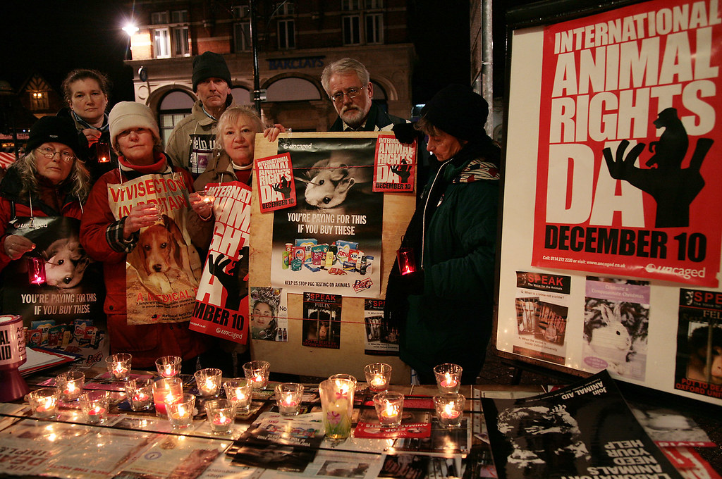 TOWN CARPETS ENFIELD TOWN CARPETS CAMBRIDGE CARPET TILE