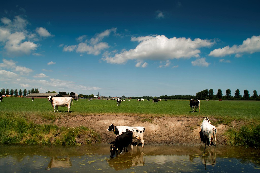 USED RESTAURANT EQUIPMENT WEST PALM BEACH USED RESTAURANT EQUIPMENT