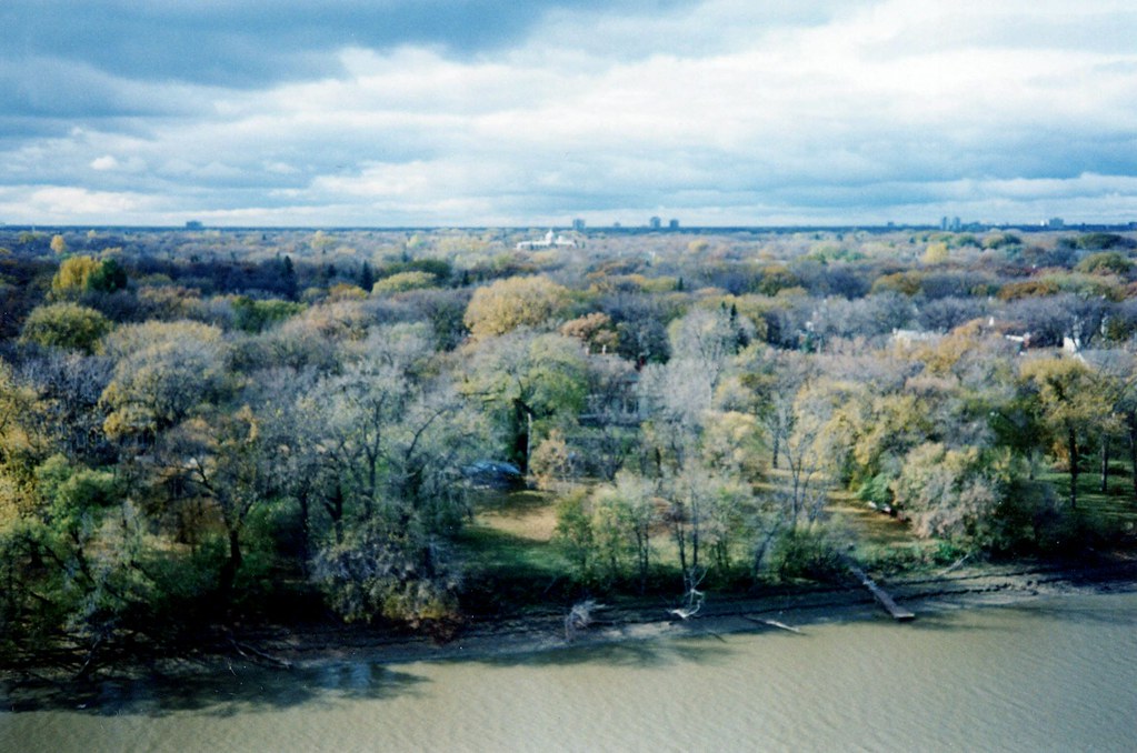 ASSOCIATED WEAVERS CARPETS