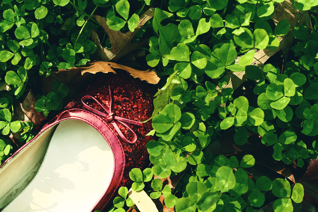 RUBY SLIPPERS HOMES SLIPPERS HOMES AIRWALKS CLOGS