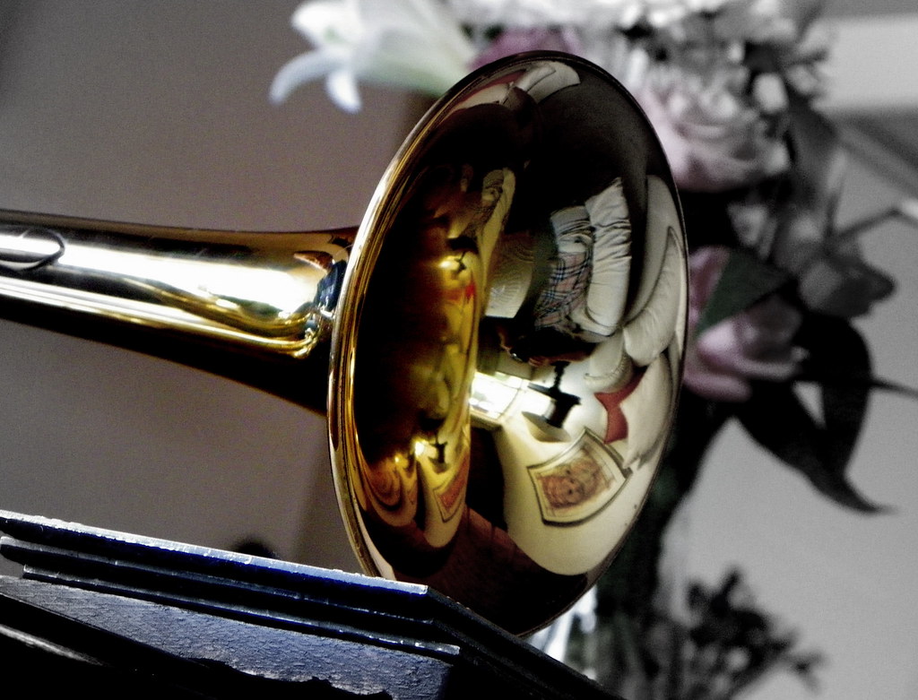 BLACK VIOLIN FOR SALE