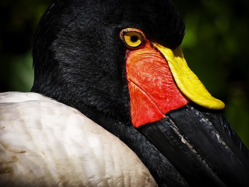 BEST CONTACT LENSES FOR SENSITIVE EYES