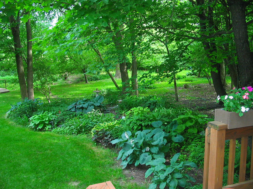 FULL SHADE GARDENS FULL SHADE ACCORDIONS SHUTTERS Blog.hr