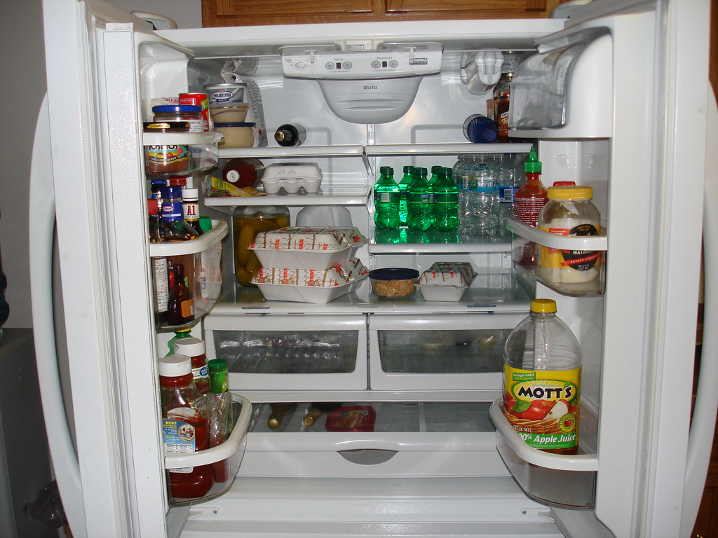 REFRIGERATOR SMELLS BAD SMELLS BAD ARCTIC FREEZER 64 PRO