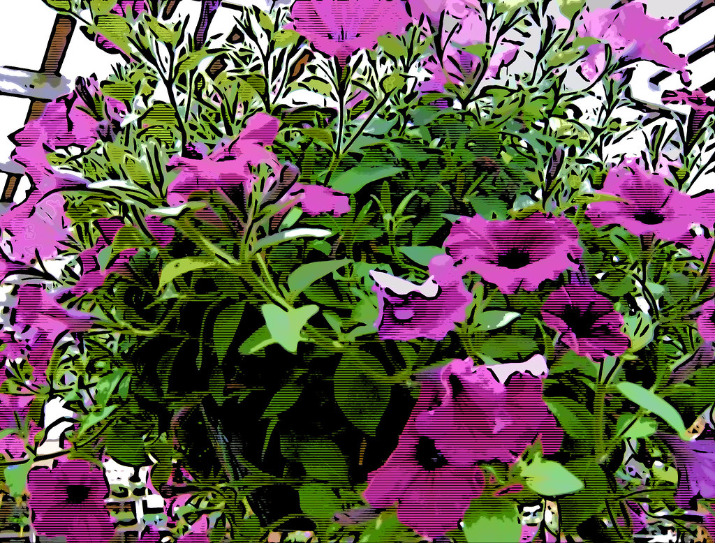 PURPLE HANGING FLOWERS HANGING FLOWERS BALTIMORE FLORISTS Blog.hr