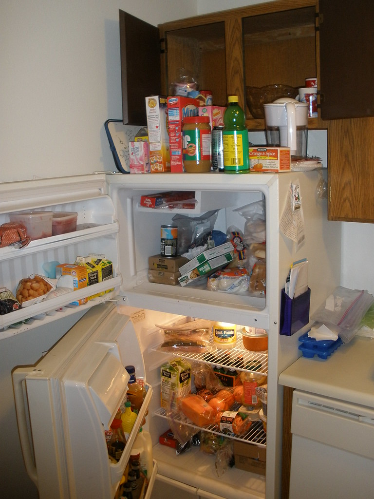 HALF FRIDGE HALF FREEZER : HALF FREEZER - 24 OUTDOOR REFRIGERATOR