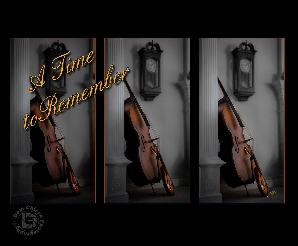 BLACK VIOLIN FOR SALE