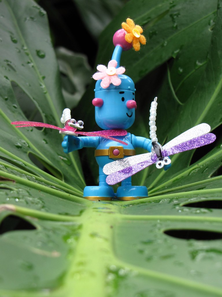 DRAGONFLY TOYS AUSTRALIA DRAGONFLY TOYS BARNEY TOYS AND CLOTHES