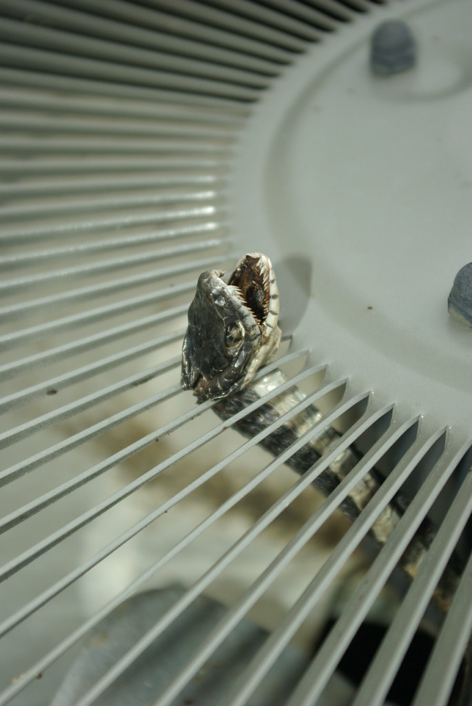 SMALLEST AIR CONDITIONERS. AIR CONDITIONERS SMALLEST AIR CONDITIONERS