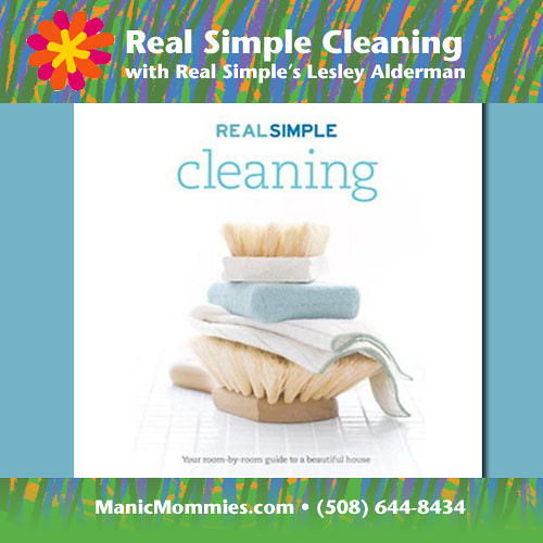 TIPS FOR HOUSE CLEANING HOUSE CLEANING BATHROOM CLEANING LOG