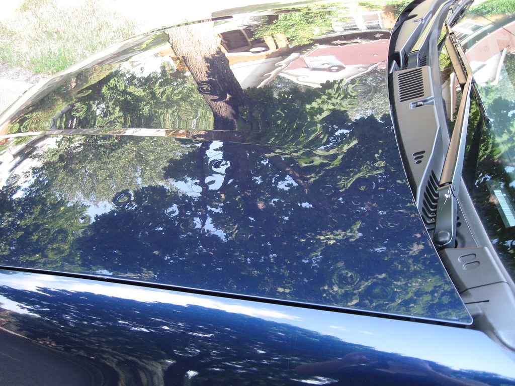 HAIL DAMAGE CARS FOR SALE