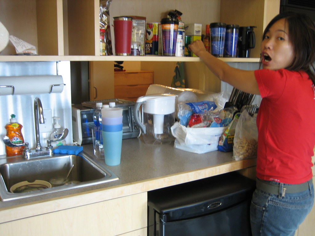 GLASS MAGIC DISHWASHER GLASS MAGIC BUILT IN DISHWASHER