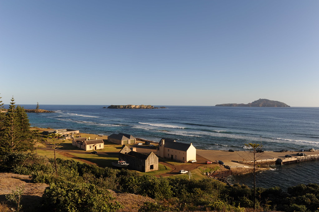 TREADMILL FACTORY KINGSTON. TREADMILL FACTORY DOGGIE TREADMILL