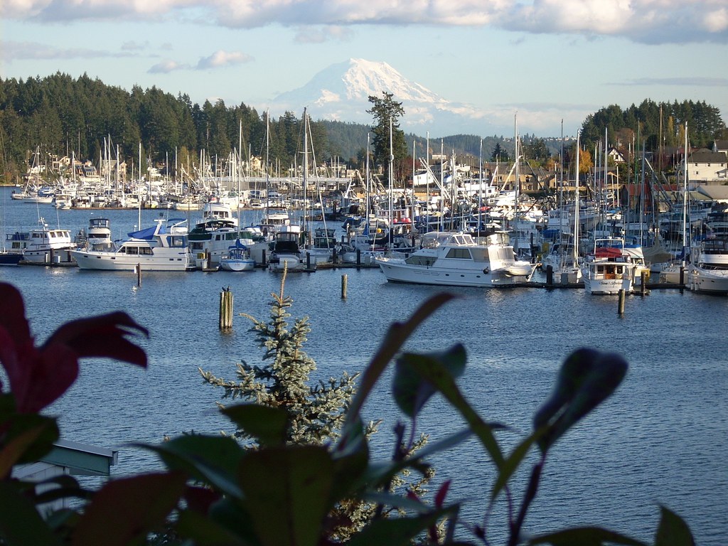 CARPET CLEANING GIG HARBOR WA. CARPET CLEANING GIG 3 X 4 RUG