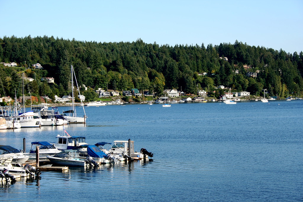 CARPET CLEANING GIG HARBOR WA. CARPET CLEANING GIG 3 X 4 RUG