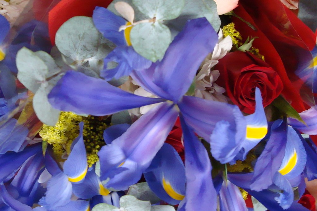 BULK FRESH CUT FLOWERS. CUT FLOWERS APPROPRIATE FLOWERS FOR A FUNERAL