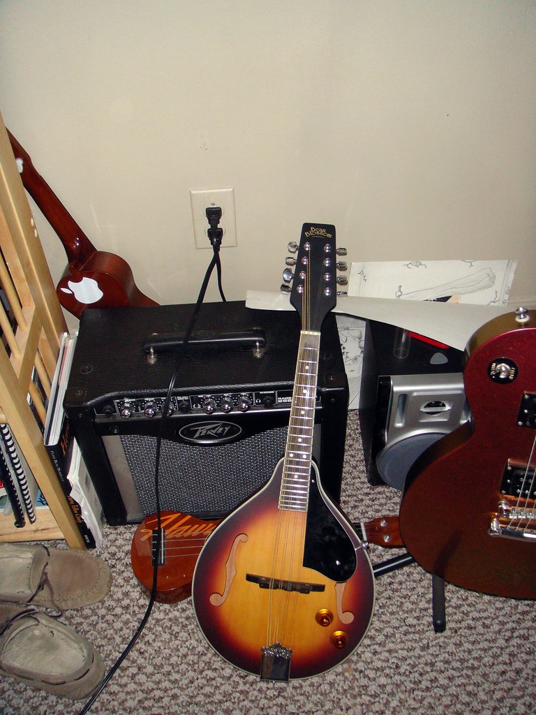 ELECTRIC MANDOLINS FOR SALE FOR SALE CELTIC MUSICAL INSTRUMENTS