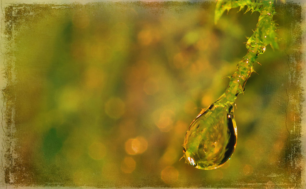 DROPPED CAMERA LENS STUCK DROPPED CAMERA CAMERA BAG FOR NIKON D80