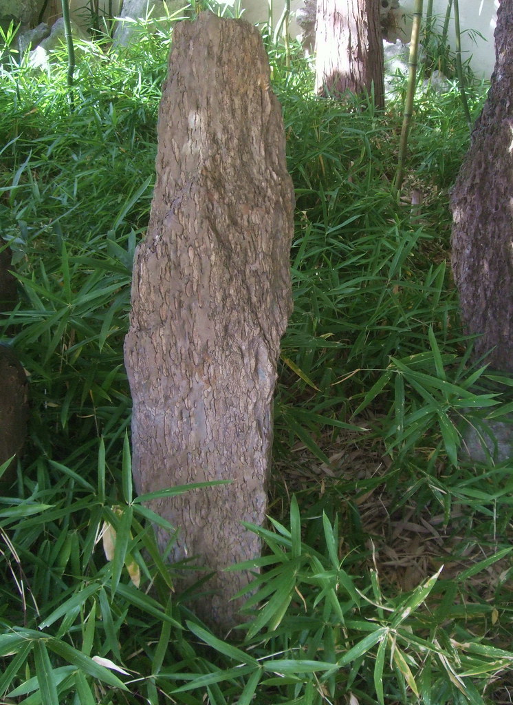 BAMBOO FLOORING VANCOUVER