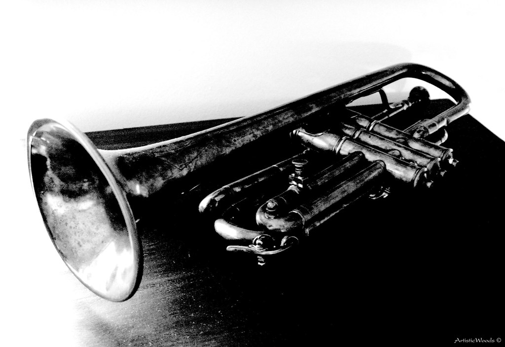 SOLOTONE TRUMPET MUTE. SOLOTONE TRUMPET ALTO SAXOPHONE NOTE